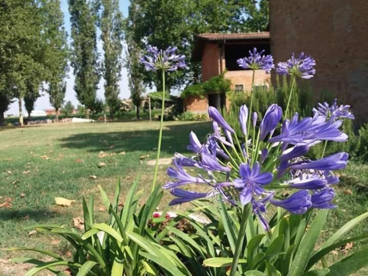 B&B Il Naviglio Di Antonelli Fabio Bastiglia Exteriör bild